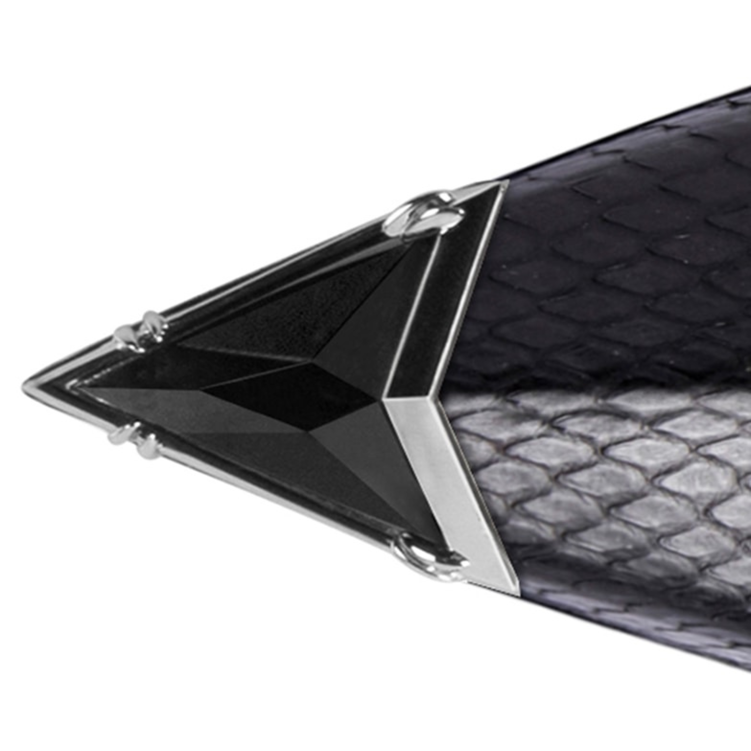 Nephthys pump in black python, detail view